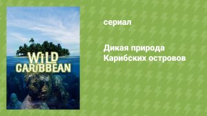 Дикая природа Карибских островов (документальный сериал, 2018)