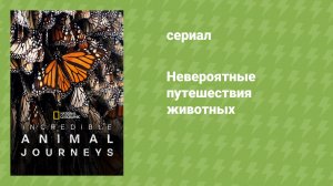 Невероятные путешествия животных (документальный сериал, 2023)