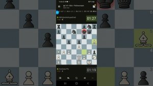 Шахматы горизонтальные видео.