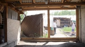 Подборка трогательных видео