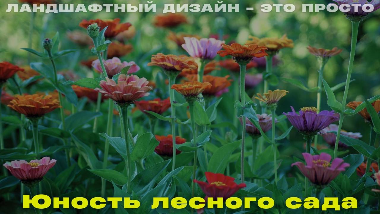 Ландшафтный дизайн - это просто!