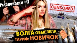 Рыбновости