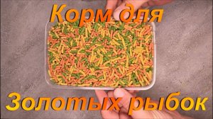 Аквариумистика
