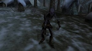 The Elder Scrolls III: Morrowind