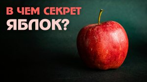 Евразия. Познаем вместе