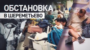 Без политики