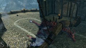 The Elder Scrolls V: Skyrim