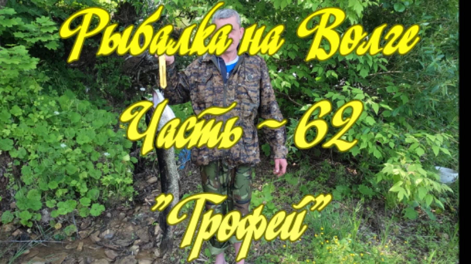 Рыбалка на фидер