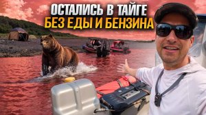 Тайга
